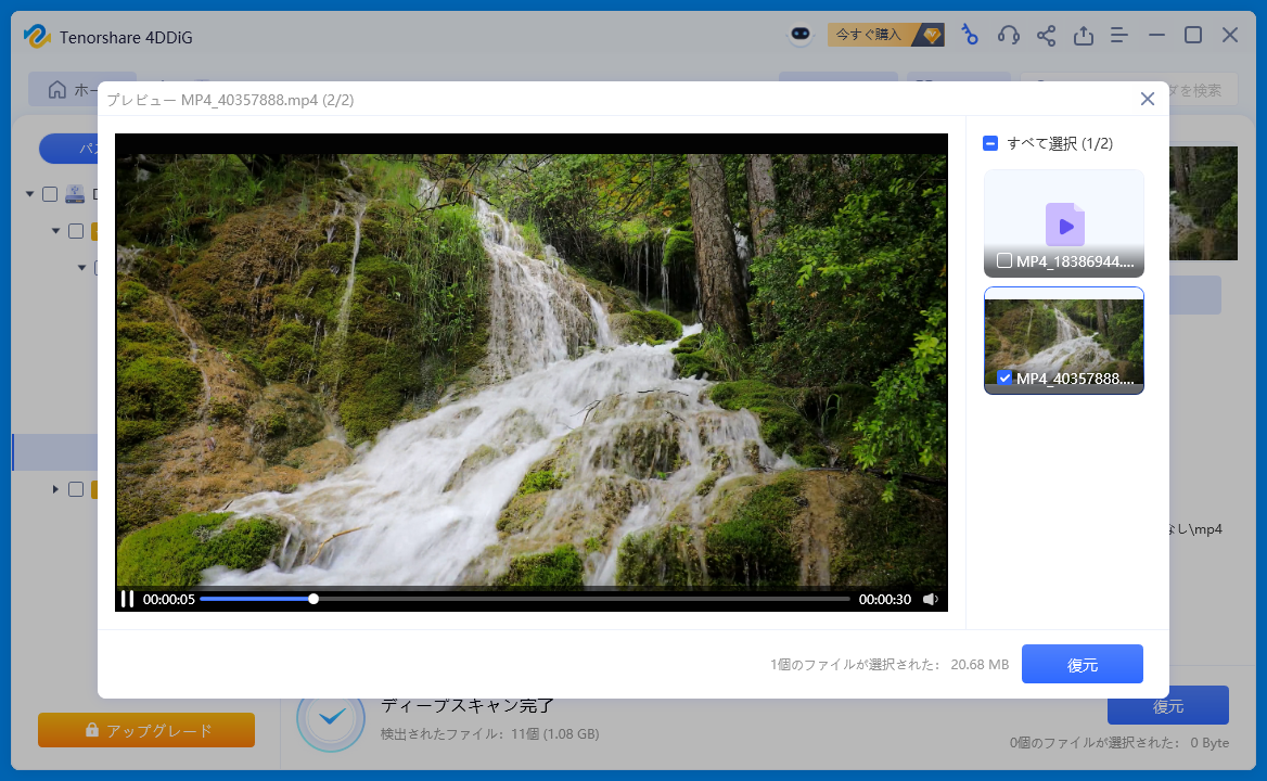 4DDiG上でこれから復元しようとしている動画のプレビューができます